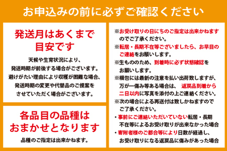 【全2回・フルーツ定期便】小林市産 完熟マンゴー＆旬のぶどう 定期便（フルーツ マンゴー ブドウ シャインマスカット 果物 定期便 宮崎）