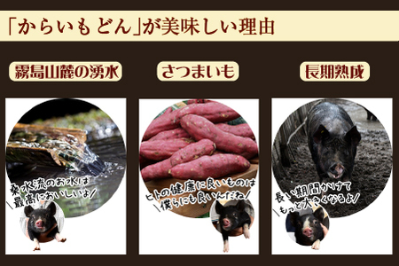 【牧場直送の新鮮黒豚】桑水流黒豚からいもどんみそ漬けセット 10P（豚肉 豚 黒豚 ロース ヒレ 味噌漬け みそ おかず 豚味噌漬セット お肉 豚肉 豚ヒレ肉 豚ロース )