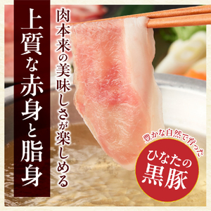 【料理王国100選に選出!!】ひなたの黒豚しゃぶしゃぶセット 600g（豚肉 黒豚 豚 バラ 豚バラ ロース しゃぶしゃぶ用 鍋 小分け）