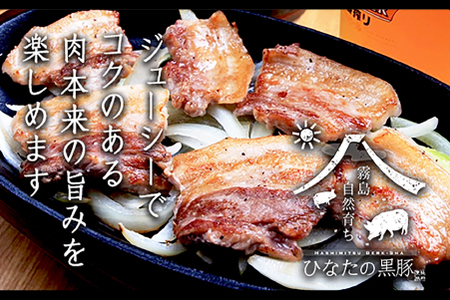 【料理王国100選に選出!!】ひなたの黒豚焼肉セット 700g（豚肉 黒豚 豚 豚バラ バラ ロース 焼肉 小分け）