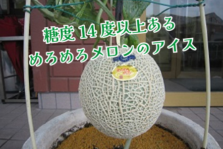 めろめろメロンと宮崎マンゴーアイスセット（アイス シャーベット マンゴー メロン スイーツ） アイス 冷凍 アイススイーツ アイスデザート アイス ミルクアイス アイスセット