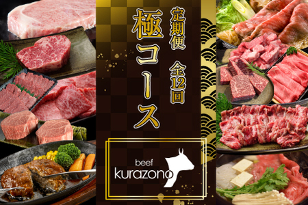 【お肉の定期便】百名店 極コース 全12回（牛肉 和牛 黒毛和牛 宮崎牛 ステーキ シャトーブリアン モモ サーロイン 赤身 定期便） ステーキ 和牛ステーキ 牛肉ステーキ 国産ステーキ 定期便ステーキ