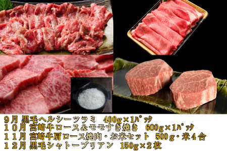 【お肉の定期便】百名店 極コース 全12回（牛肉 和牛 黒毛和牛 宮崎牛 ステーキ シャトーブリアン モモ サーロイン 赤身 定期便） ステーキ 和牛ステーキ 牛肉ステーキ 国産ステーキ 定期便ステーキ
