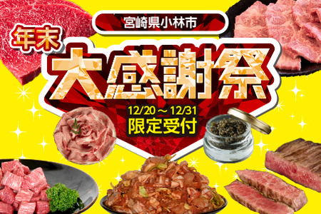 【年末限定受付！】宮崎和牛 赤身サイコロ 2kg 500g×4P 牛肉 肉 宮崎 宮崎県 黒毛和牛 サイコロステーキ ステーキ 赤身 和牛