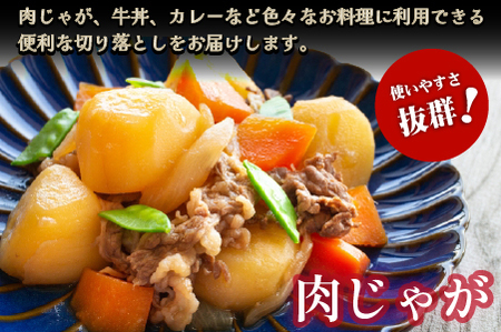 【黒毛和牛専門店直送】厳選黒毛和牛切り落とし 2.0kg(500g×4P 国産 牛肉 スライス 牛肉切り落とし 牛肉切り落とし 赤身 訳あり)