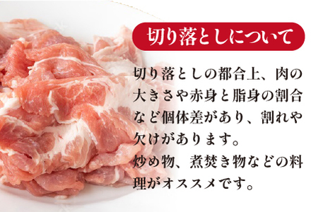 【年末限定受付！】ホエー豚 切り落とし 4.8kg（豚肉 豚 切り落とし こま切れ 小間切れ 小分け しゃぶしゃぶ）