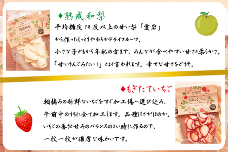 【旬の果物100％】果物好きのためのドライフルーツ おためし4種セット