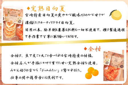 【旬の果物100％】果物好きのためのドライフルーツ おためし4種セット