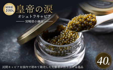 【純国産キャビア】オシェトラキャビア 40g(20g×2) 皇帝の涙 国産 チョウザメ キャビア 国産キャビア 魚卵 宮崎県