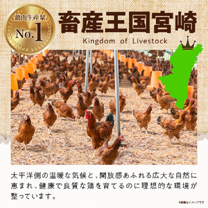 【テレビで話題！元祖ざる焼き小林養鶏】宮崎県産若鶏もも肉カット 3.3kg（300g×11P 国産 鶏肉）