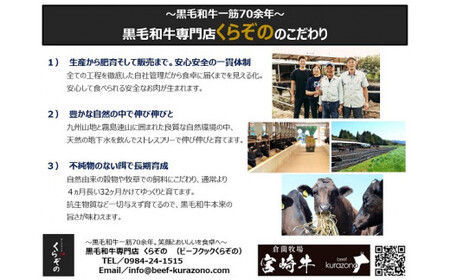 【黒毛和牛専門店厳選】A5等級宮崎牛のとろけるロース 600g(宮崎牛 黒毛和牛 ブランド牛 牛肉 すき焼き 焼肉 内閣総理大臣賞)