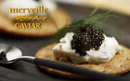 【純国産宮崎キャビア】メルベイユキャビア　バエリ1000g：冷凍タイプ