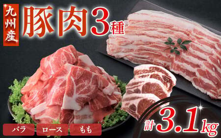 【部位3種食べ比べ!】【数量限定】九州産豚肉 3種セット 計3.1kg（ 国産 豚 豚肉 豚肉セット 豚肉小分け とんかつ 豚バラ 豚スライス 豚ロース 豚切り落とししゃぶしゃぶ 大容量 冷凍 ）