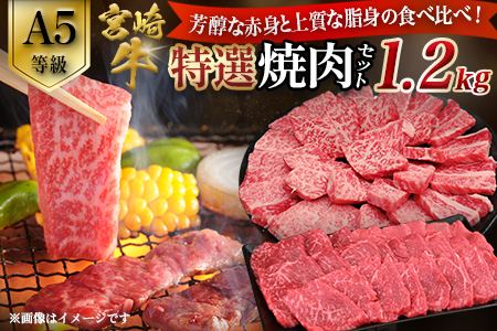 【A5等級】宮崎牛 特選焼肉セット 計1.2kg（赤身・霜降り） 宮崎牛 ブランド牛 和牛 牛肉 焼肉 特選和牛 霜降り A5 宮崎県 小林市