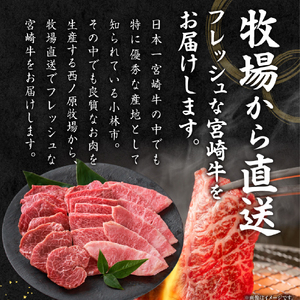 【西ノ原牧場直送】大人気！A4等級以上宮崎牛バラエティ焼肉用 1.2kg（国産 国産牛 肉 牛肉 宮崎牛 黒毛和牛 お肉 ロース 焼肉 内閣総理大臣賞4大会連続受賞 特別提供）