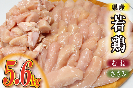【カット済み】宮崎県産若鶏ヘルシーセット 計5.6kg（むね肉 ささみ 鶏肉 鶏ムネ ムネ 唐揚げ 焼き鳥）