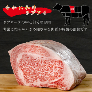 宮崎県西ノ原牧場・なかにし和牛リブアイステーキ 400g 牛肉 宮崎牛 産地直送 ステーキ 2枚 冷凍 焼肉