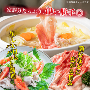 【数量限定】九州産 豚バラ スライス 2.4kg（ 国産 豚 豚肉 豚バラ しゃぶしゃぶ 小分け バラ 大容量 冷凍 ）