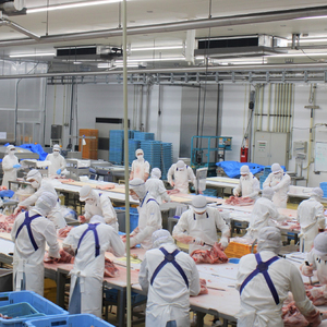 【工場直送】九州産 豚バラ スライス 3.2kg( 国産 豚 豚肉 豚バラ しゃぶしゃぶ 小分け バラ 大容量 冷凍 )