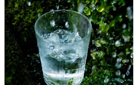 【定期便6回】のむシリカ2L×9本 (ミネラルウォーター 天然水 定期便)