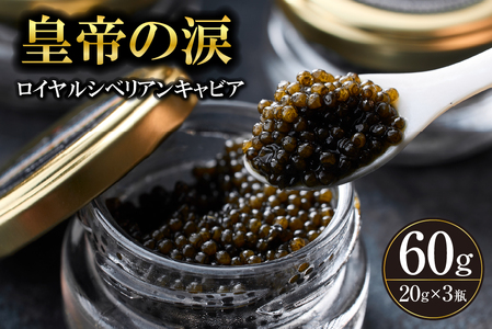 【純国産キャビア】ロイヤルシベリアンキャビア 60g 皇帝の涙 国産 チョウザメ 魚卵 宮崎県