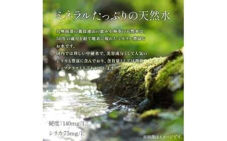 北霧島のおいしい水 590ml×24本（国産 ナチュラルウォーター ミネラルウォーター 天然水 水 シリカ シリカ水 みず お水 飲料水 美容 人気 北霧島 長期 保存水 備蓄水 備蓄用 災害 避難用品 防災 宮崎 小林市）