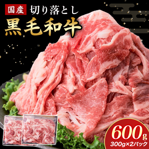 国産黒毛和牛切り落とし 600g （ 国産 牛 牛肉 黒毛和牛 切り落とし 真空 小分け 冷凍 宮崎県 小林市 ） 10,500円