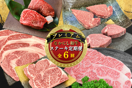 【定期便 全6回】宮崎県西ノ原牧場・なかにしプレミアム和牛ステーキ定期便（牛肉 黒毛和牛 ステーキ サーロイン モモ 定期便 A4 A5）