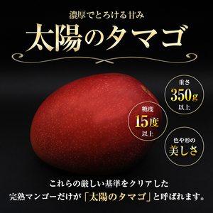 【2026年発送 先行予約】完熟マンゴー「太陽のタマゴ」 3L×2玉（フルーツ マンゴー 完熟マンゴー アップルマンゴー 果物 くだもの 先行受付 2026 令和8年 宮崎）