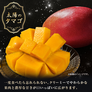 【2026年発送 先行予約】完熟マンゴー「太陽のタマゴ」 3L×2玉（フルーツ マンゴー 完熟マンゴー アップルマンゴー 果物 くだもの 先行受付 2026 令和8年 宮崎）