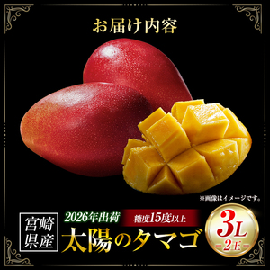 【2026年発送 先行予約】完熟マンゴー「太陽のタマゴ」 3L×2玉（フルーツ マンゴー 完熟マンゴー アップルマンゴー 果物 くだもの 先行受付 2026 令和8年 宮崎）
