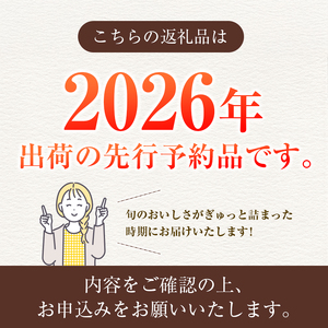 【2026年発送 先行予約】完熟マンゴー「太陽のタマゴ」 2L×1玉（フルーツ マンゴー 完熟マンゴー アップルマンゴー 果物 くだもの 先行受付 2026 令和8年 宮崎）