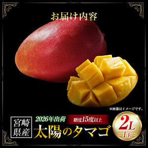 【2026年発送 先行予約】完熟マンゴー「太陽のタマゴ」 2L×1玉（フルーツ マンゴー 完熟マンゴー アップルマンゴー 果物 くだもの 先行受付 2026 令和8年 宮崎）