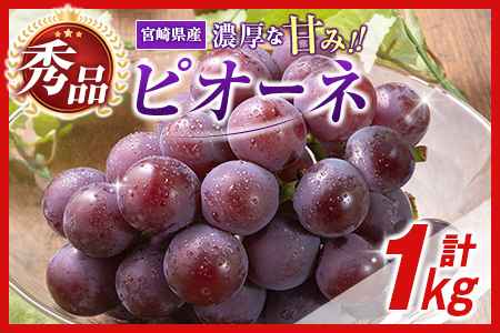 【令和8年発送 先行予約】小林市産 ピオーネ 1kg（ぶどう ブドウ ピオーネ フルーツ 果物 くだもの 先行受付 限定）