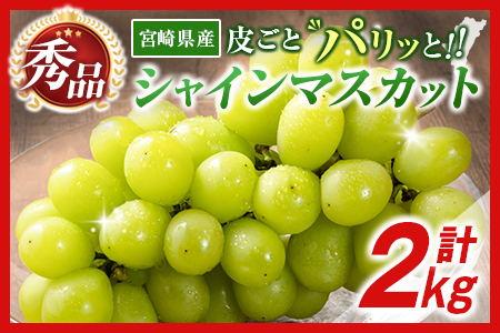【令和8年発送 先行予約】小林市産 シャインマスカット 2kg（ブドウ ぶどう シャインマスカット マスカット フルーツ 果物 先行受付 限定）