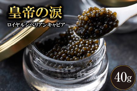 【純国産キャビア】ロイヤルシベリアンキャビア 40g 皇帝の涙 国産 チョウザメ 魚卵 宮崎県