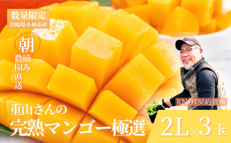 【2026年発送 先行予約】生産農家応援・濃厚果肉 みやざき完熟マンゴー極撰 2L×3玉（マンゴー フルーツ アップルマンゴー 果物 くだもの 2026 先行受付 宮崎）