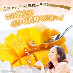 【数量限定・先行受付】厳選大玉宮崎完熟マンゴー 2玉（計1kg程度） フルーツ マンゴー
