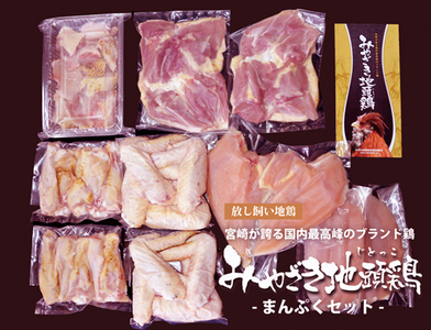 【宮崎ブランド地鶏】朝挽き”みやざき地頭鶏”まんぷくセット　約2.3kg（国産 鶏 鶏肉 地鶏 小分け モモ肉 もも肉 ムネ肉 むね肉 焼肉 鍋 唐揚げ 炭火焼 チキン南蛮 宮崎 小林市）