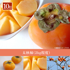 【先行予約！フルーツ定期便：全7回】こばやし季節のフルーツ Aコース