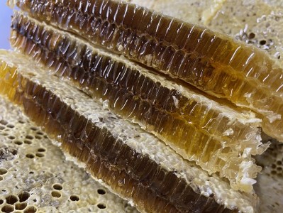 【山奥で採れる天然地蜜】天然100％純粋蜂蜜 600g