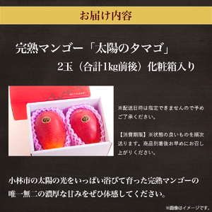 【数量限定・先行受付】厳選大玉宮崎完熟マンゴー「太陽のタマゴ」2玉 計1キロ程度 フルーツ マンゴー