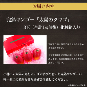 【数量限定・先行受付】厳選宮崎完熟マンゴー「太陽のタマゴ」よくばり3玉 計1キロ程度 フルーツ マンゴー