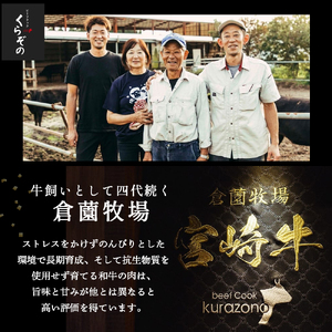 【黒毛和牛専門店厳選】黒毛和牛まぼろしのシャトーブリアン（ステーキ）150ｇ×2Ｐ（国産 牛肉 国産牛 和牛 黒毛和牛 赤身 ヒレ シャトーブリアン ステーキ 焼肉） ステーキ 和牛ステーキ 牛肉ステーキ 国産ステーキ 小林市ステーキ