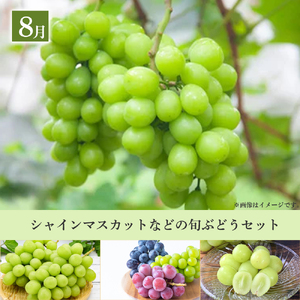 【数量限定！フルーツ定期便：全5回】こばやし季節のフルーツ Cコース（先行予約 先行受付 国産 フルーツ シャインマスカット マンゴー 数量限定 産地直送）