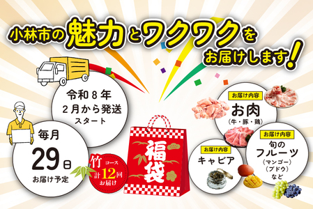 【定期便・全12回】新春おたのしみ 福袋  竹（牛肉 豚肉 鶏肉 果物 フルーツ 2026 限定 定期便 宮崎 小林市）
