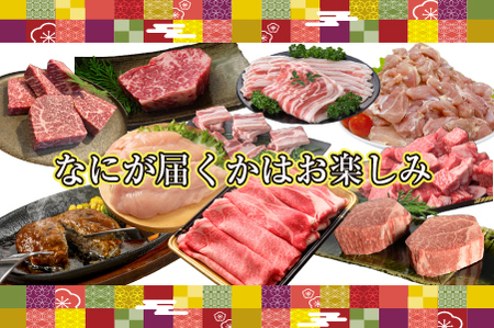 【定期便・全12回】新春おたのしみ お年玉コース 金（牛肉 豚肉 鶏肉 フルーツ スイーツ 2025 定期便 先行予約 宮崎 小林市）