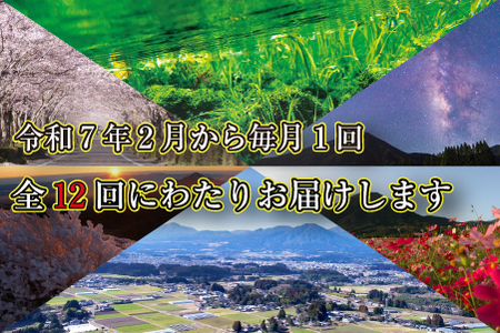 【定期便・全12回】新春おたのしみ お年玉コース 金（牛肉 豚肉 鶏肉 フルーツ スイーツ 2025 定期便 先行予約 宮崎 小林市）