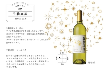 【高原の白ワイン】シャルドネ（辛口）　1ダース 国産ワイン シャルドネワイン 小林ワイン 1ダースワイン ギフトワイン