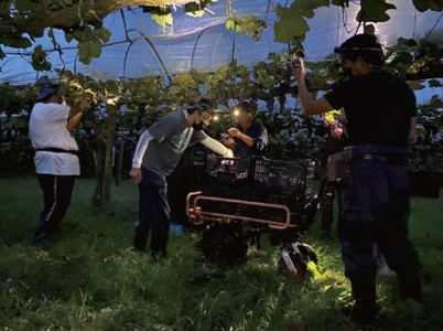 【高原の白ワイン】シャルドネ（辛口）　1ダース 国産ワイン シャルドネワイン 小林ワイン 1ダースワイン ギフトワイン